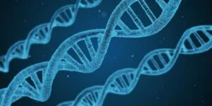 Genetic Oncology: Decoding the Mystery of Cancer's Roots 3 Genetic Oncology news